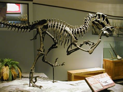 Utahraptor Facts, Habitat, Pictures and Diet