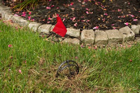 Effective Mole Control & Lawn Rodent Control Solutions | Rottler