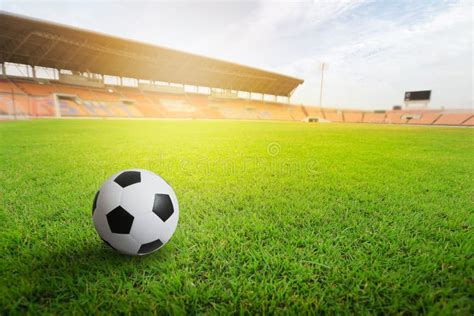 Green Grass in Soccer Stadium. Grass on Stadium in Sunlight. Stock Photo - Image of seat, orange ...