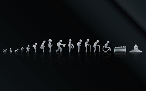 Humorous Evolution of Life: An HD Wallpaper Journey