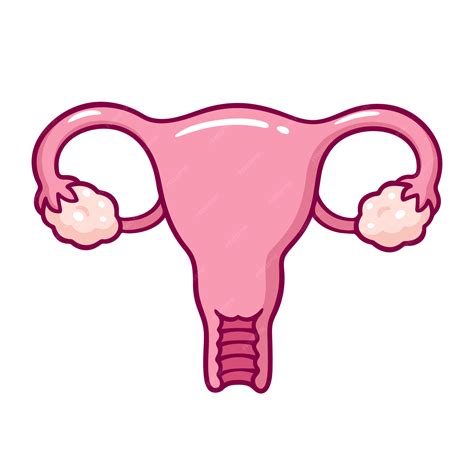 Premium Vector | Cartoon uterus drawing