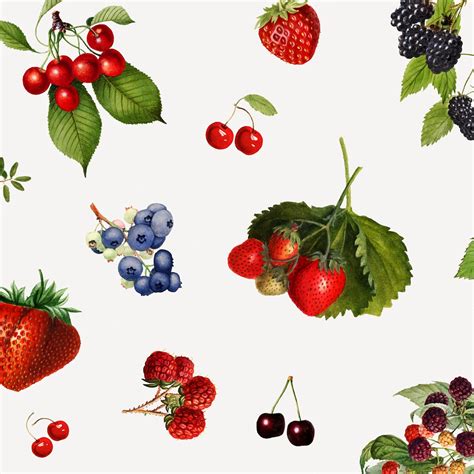 Free Vector | Hand drawn mixed berries on a gray background