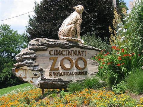 Cincinnati Zoo and Botanical Gardens | Cincinnati zoo, Zoo, Botanical gardens