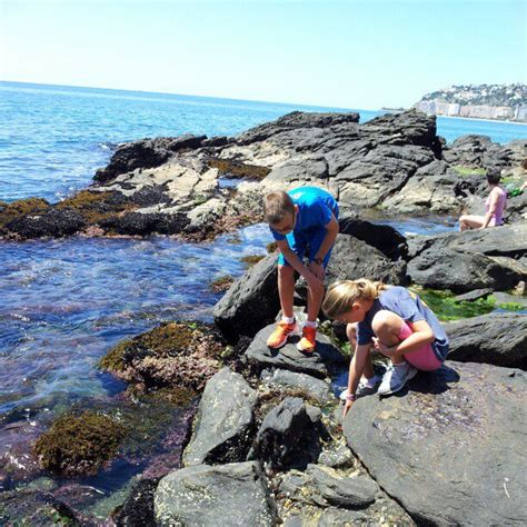 Almuñécar Beaches - Almuñécar Playas