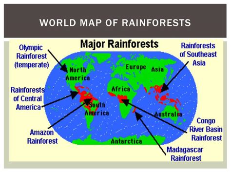 Tropical Rainforest Location World Map