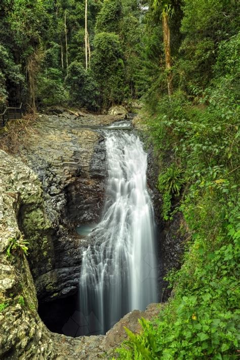 Image of Natural Bridge waterfall in Springbrook National Park. - Austockphoto