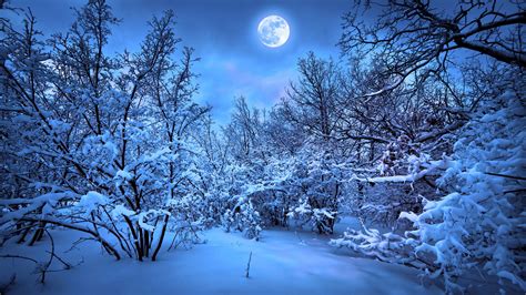 Forest moon night snow winter f wallpaper | 1920x1080 | 182148 ...