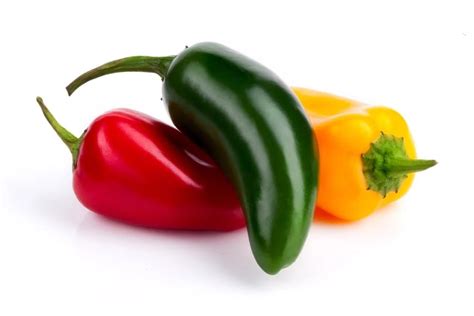 Growing Jalapenos 101: Pepper Basics | Grow Hot Peppers