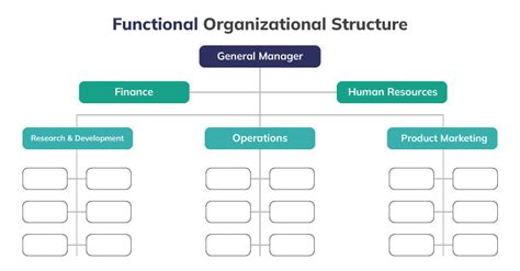 Detailed description of functional organization structure