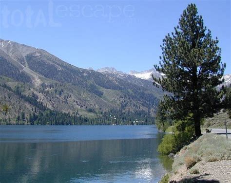 Eastern Sierra Camping | Total Escape Outside | Mammoth lakes, County park, Pine city