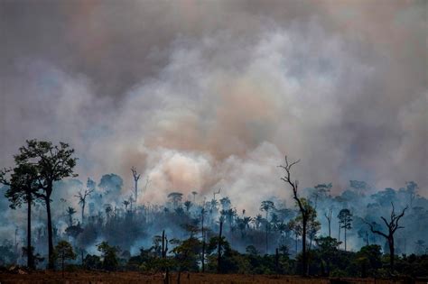 Global warming fast shrinking rainforest role as climate protector