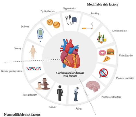 Cardiovascular Disease Risk Factors