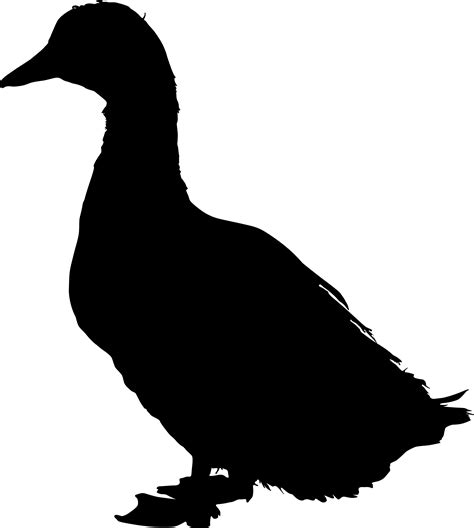 Clipart duck silhouette, Clipart duck silhouette Transparent FREE for ...