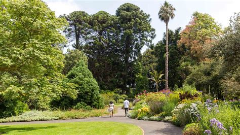 Geelong Botanic Gardens - Concrete Playground