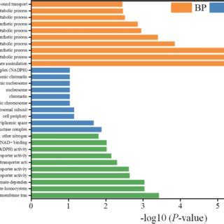 Plant growth-promoting and biological control properties. (a) IAA... | Download Scientific Diagram