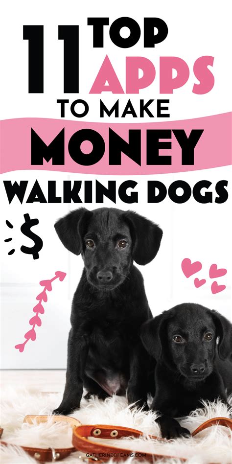 11 Best Dog Walking Apps: Get Paid To Walk Dogs