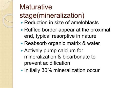 Amelogenesis (enamel formation) oral biology anf histology | PPT