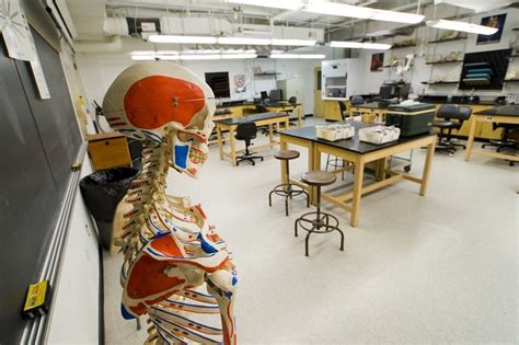 Anatomy and Physiology lab in Magruder Hall | Anatomy and physiology, Campus, Physiology