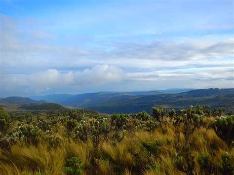 hills of mount elgon | Zen Travellers