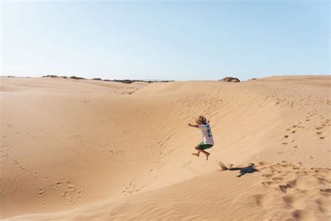 Pismo Beach Sand Dunes: The Essential Guide to Visiting Oceano Dunes