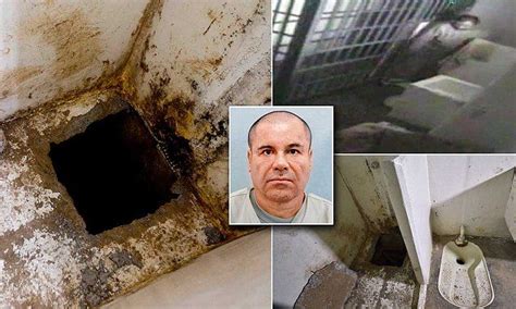 First look INSIDE the cell shower El Chapo disappeared down | News, The o'jays and Articles