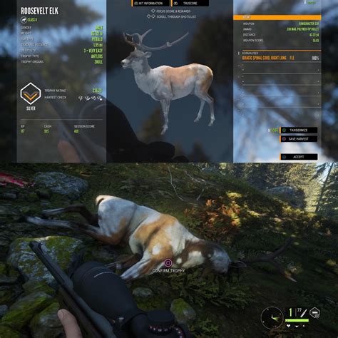 PIEBALD ROOSEVELT ELK : r/theHunter