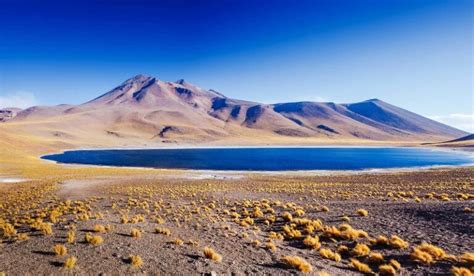 El Desierto de Atacama: Un ecosistema único y valioso