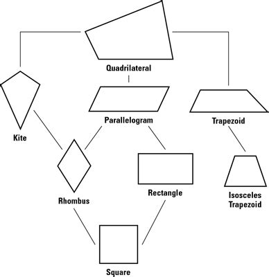 Identifying the Seven Quadrilaterals - dummies