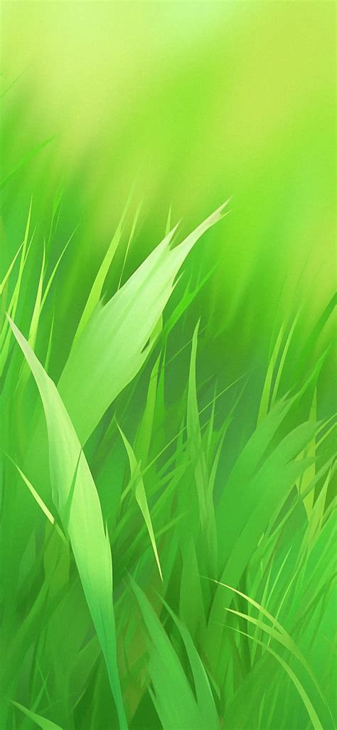 Juicy Grass Green Wallpapers - Wallpapers Clan