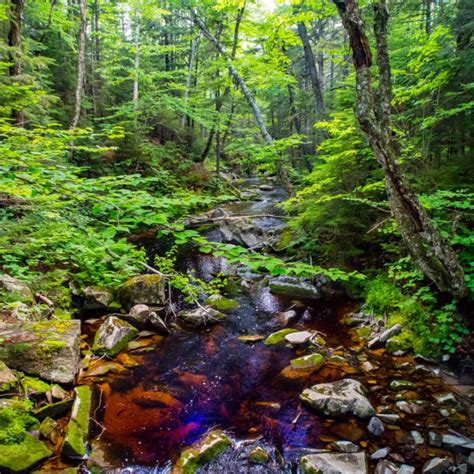 stream-in-the-green-mountains-of-vermont - Travel Off Path