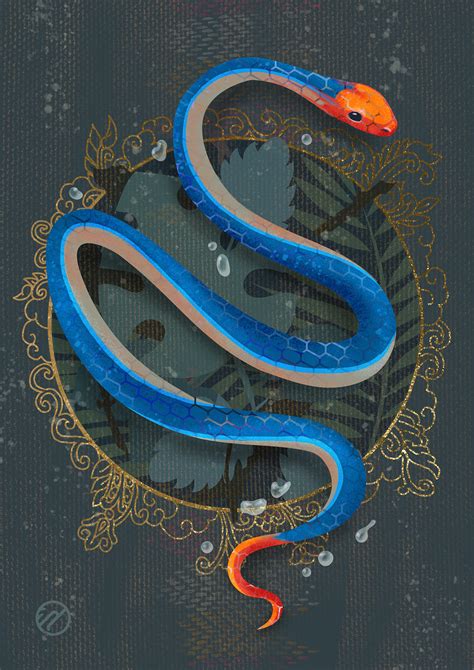 Blue Coral Snake :: Behance