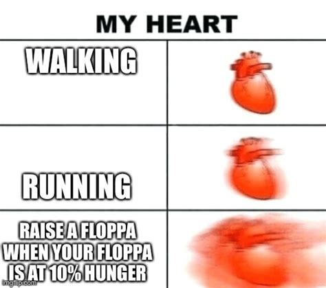 Raise a Floppa Roblox - Imgflip