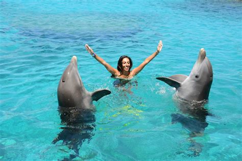 Swimming with Dolphins in Curaçao – Curacao Activities