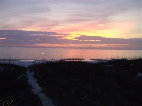 st joe beach, fla | Florida vacation rentals, Summer dream, Florida vacation