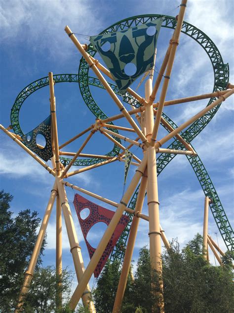 Cheetah Hunt Busch Gardens Review – Beautiful Flower Arrangements and ...