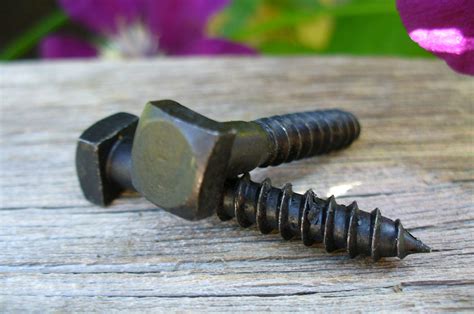 VINTAGE SQUARE HEAD Wood Screws set of 10