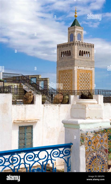 Tunisia, Tunis, view of traditional architectures from a Medina terrace ...