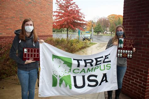 Jamestown Community College Plants Sugar Maple to Celebrate 11 Years as ...