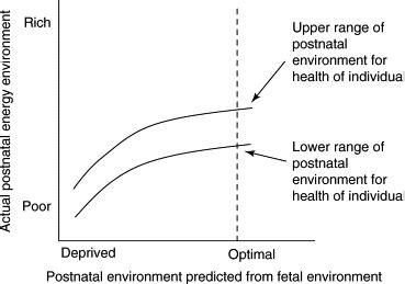 Predictive adaptive responses and human evolution: Trends in Ecology ...