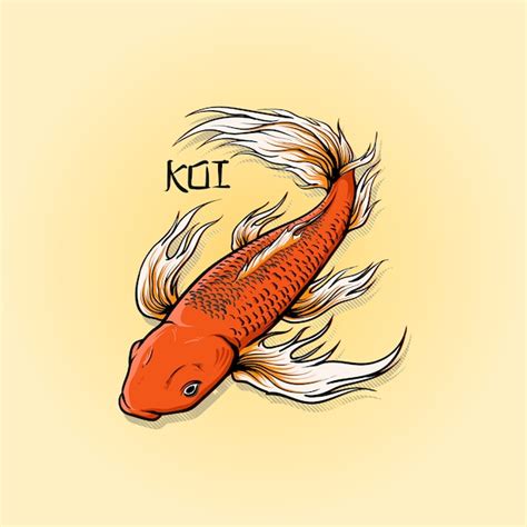 Butterfly Koi Drawing