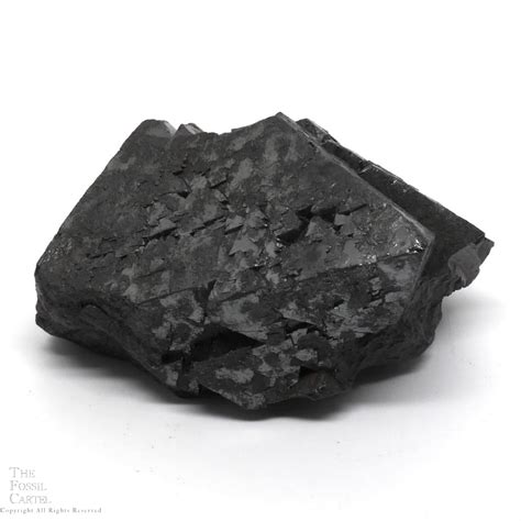 Magnetite Crystal Cluster - The Fossil Cartel