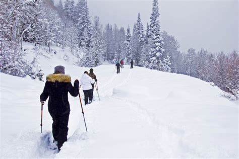 Snowshoeing, a Naturalist's Perspective