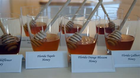 A Road Trip Taste-Testing the Best Florida Honey