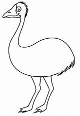 Emu 3 Coloring Page  Free Printable Pages For Kids sketch template