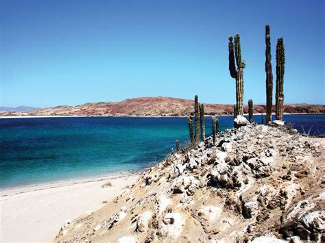 Playas de arena blanca, aguas cálidas, con acantilados y especies ...