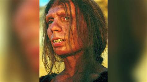 Neanderthals: Our extinct human relatives | Live Science