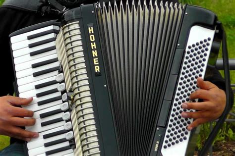 Discover the Different Types of Accordions - Common and Less Common ...