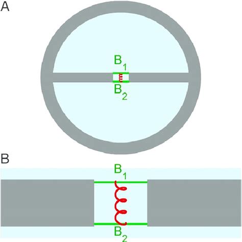 Dispersion diagrams of the two waveguide modes. (A) Without elastic... | Download Scientific Diagram