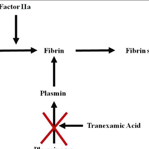 The mechanism of action of tranexamic acid in the coagulation cascade ...