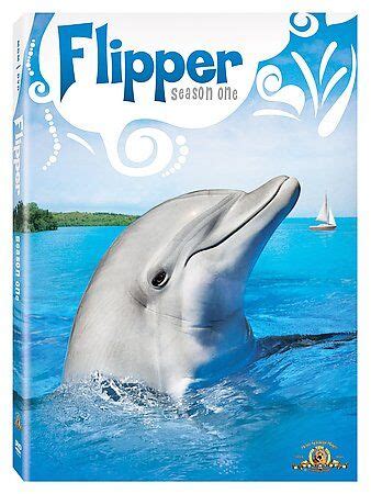 Flipper - Season 1 (DVD, 2007, 4-Disc Set) Full Frame 27616072535 | eBay